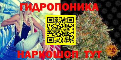 МДПВ Заволжье