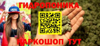 МДПВ Заволжье