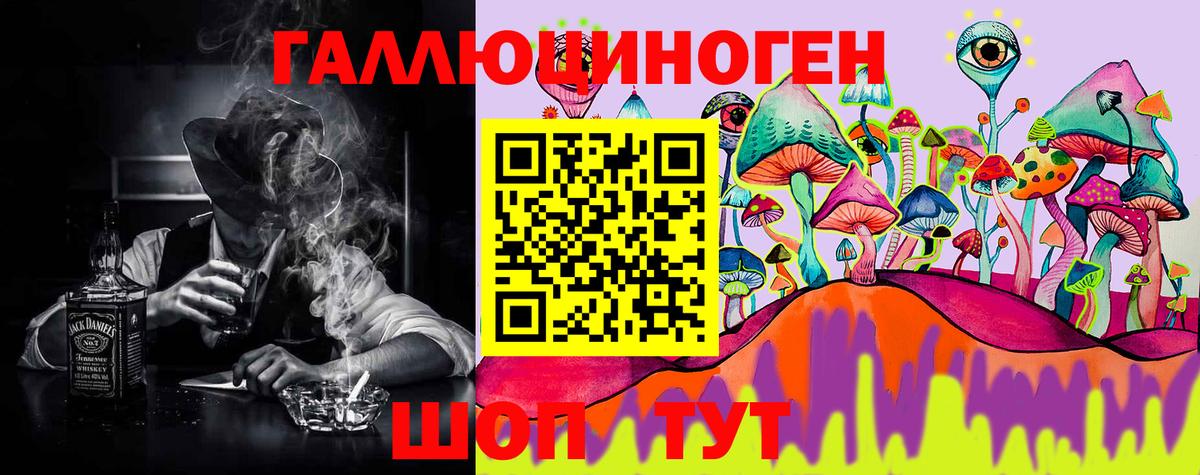 Галлюциногенные грибы Psilocybine cubensis Лесозаводск