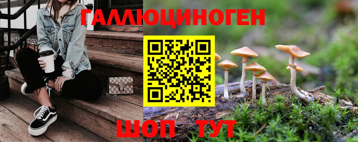 Лесозаводск  Галлюциногенные грибы Psilocybine cubensis  Галлюциногенные грибы GOLDEN TEACHER  Вход с VPN 